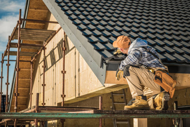 Best Shingle Roofing Installation  in Dodson Branch, TN