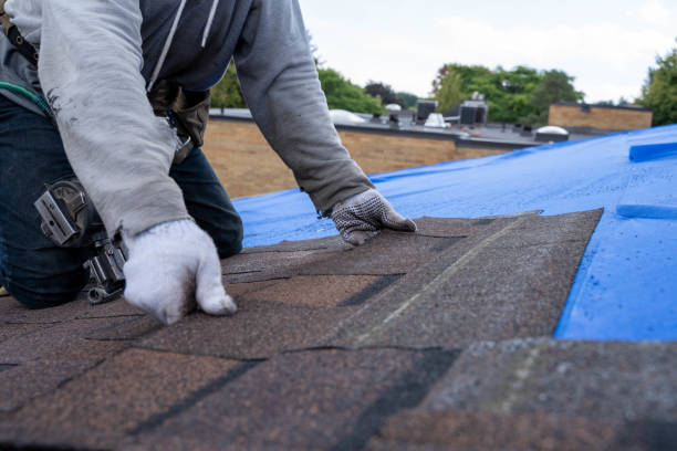 Best Commercial Roofing Services  in Dodson Branch, TN