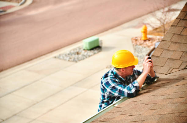 Best Roof Maintenance Services  in Dodson Branch, TN