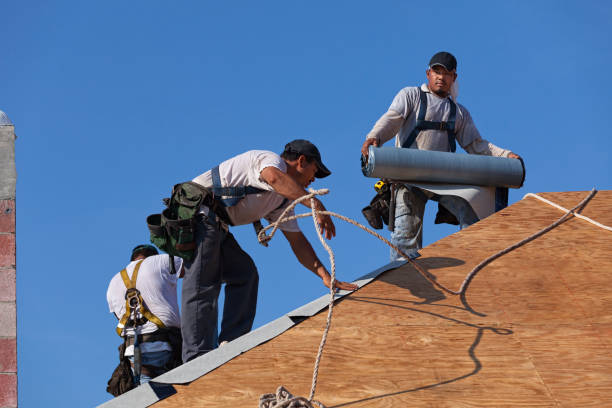 Best Commercial Roof Installation  in Dodson Branch, TN