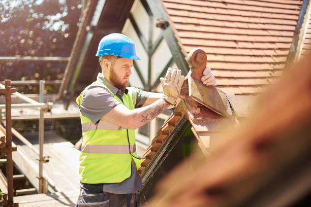 Best Emergency Roof Repair  in Dodson Branch, TN