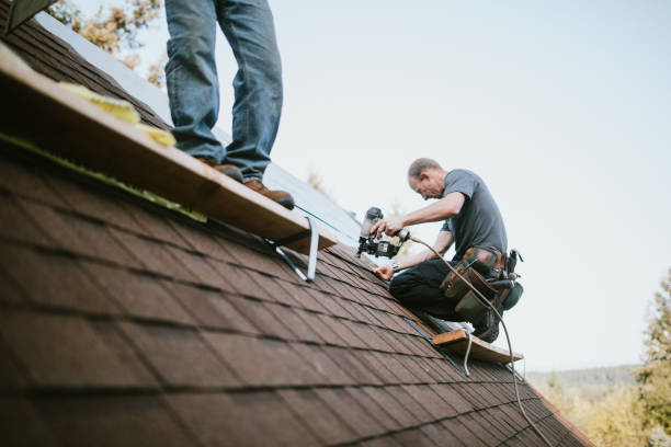 Roof Gutter Cleaning in Dodson Branch, TN