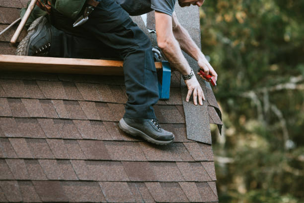 Best Local Roofing Companies  in Dodson Branch, TN